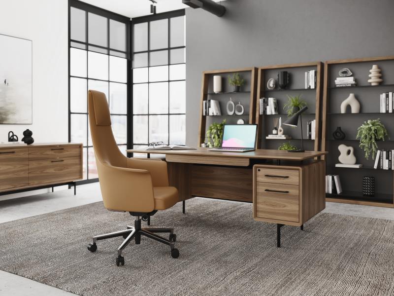 Showcase Image